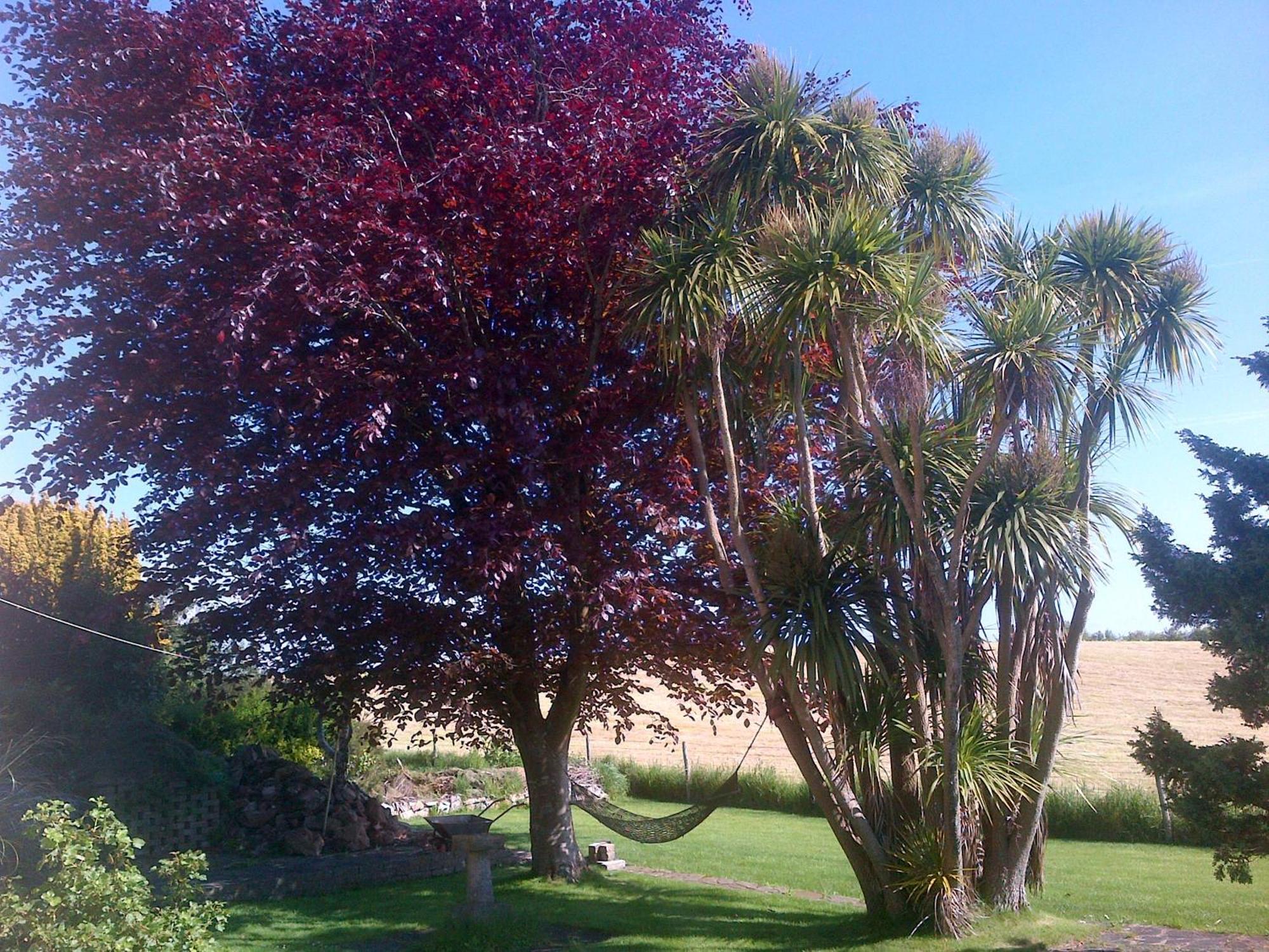 Wychwood House Bed and Breakfast Penally Εξωτερικό φωτογραφία